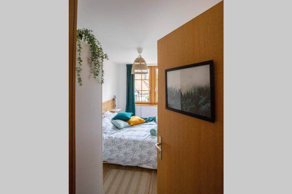 Charming Apartment Basel Border - 3 Bedrooms Hegenheim Bagian luar foto