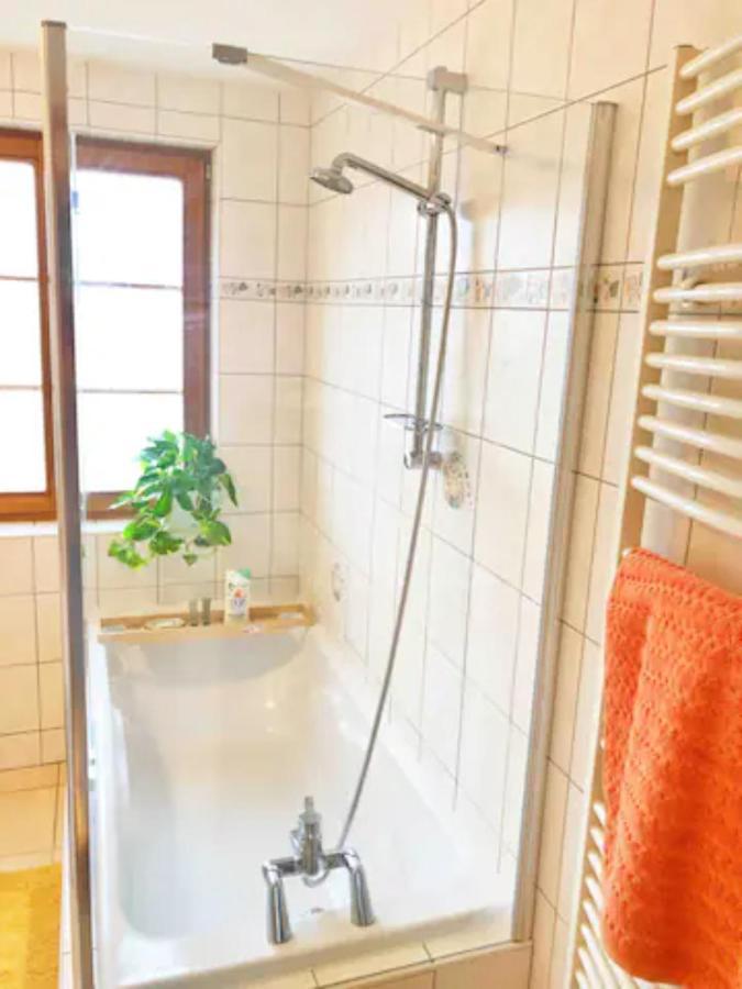 Charming Apartment Basel Border - 3 Bedrooms Hegenheim Bagian luar foto
