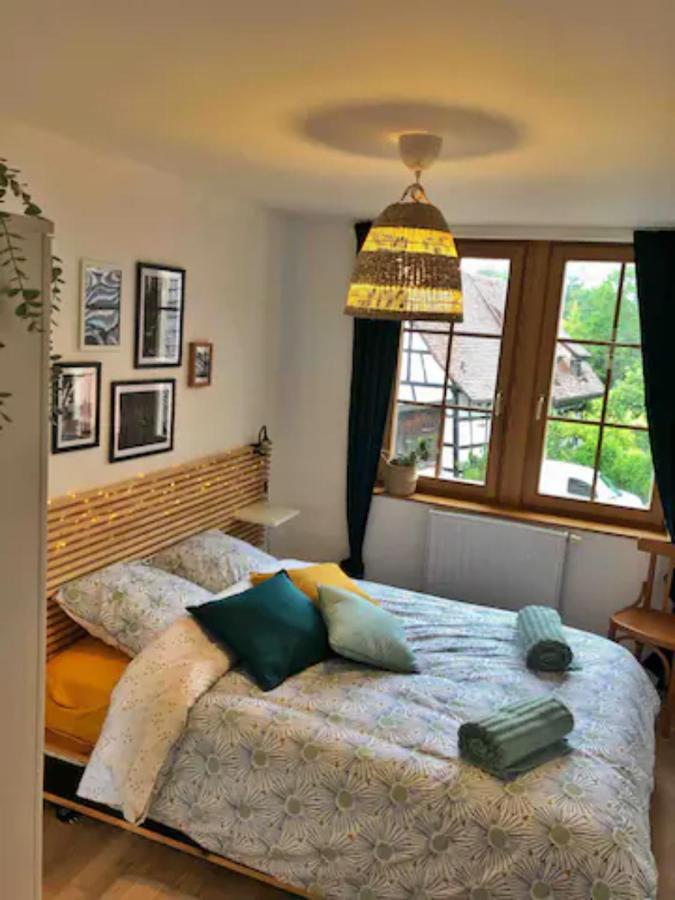 Charming Apartment Basel Border - 3 Bedrooms Hegenheim Bagian luar foto
